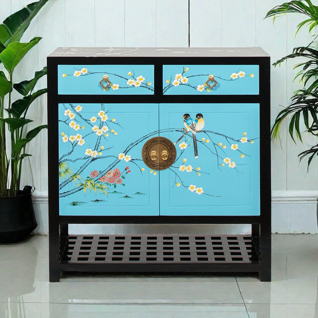 DICIXA Classical Solid Wood Painted Shoe Cabinet 12 Pair Solid